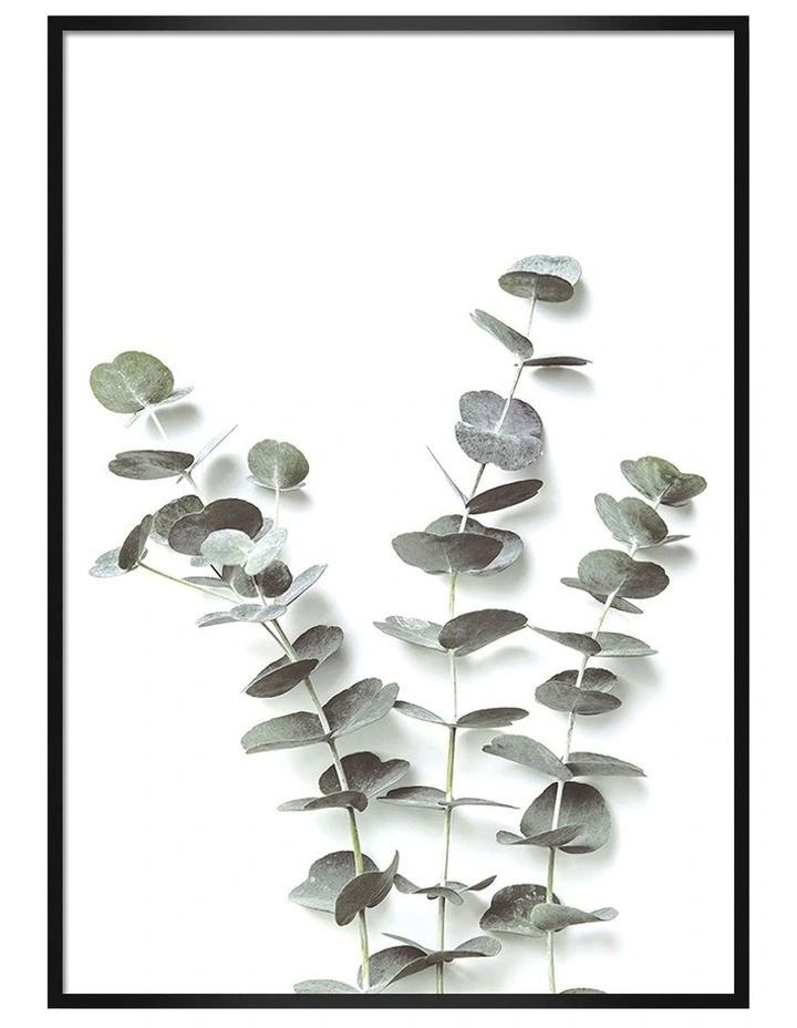 Australian Made Eucalyptus Foliage Art Print A0 Frame in Black Frame image 1