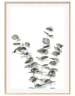 Australian Made Eucalyptus Foliage Art Print A0 Frame in White Frame
