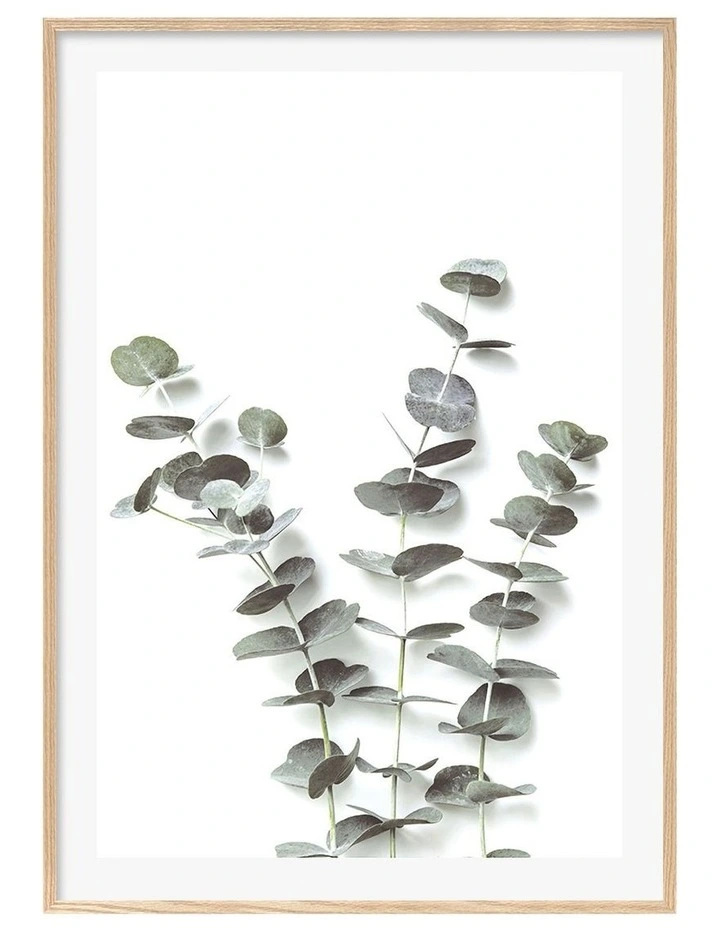 Australian Made Eucalyptus Foliage Art Print A0 Frame in White Frame image 1
