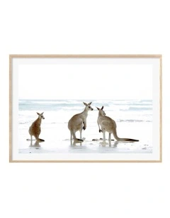 Australian Made Kangaroo Beach Art Print A0 Frame in Natural Frame