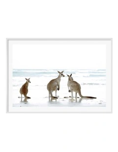 Australian Made Kangaroo Beach Art Print A0 Frame in White Frame