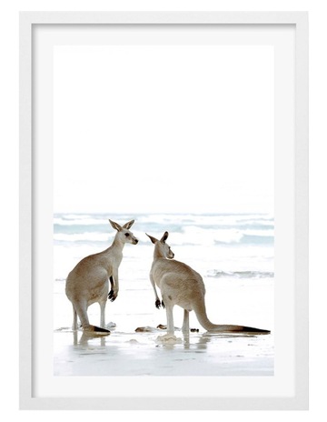 Australian Made Kangaroo Couple Framed Print in White