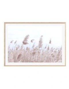 Australian Made Pampas Grass 1 Art Print A0 Frame in Natural Frame