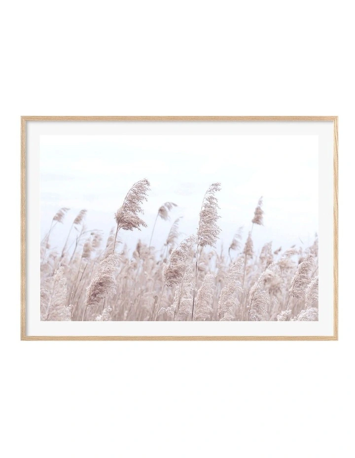 Australian Made Pampas Grass 1 Art Print A0 Frame in Natural Frame image 1