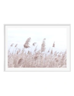 Australian Made Pampas Grass 1 Art Print A0 Frame in White Frame