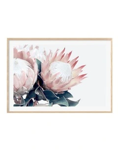 Australian Made Protea Flowers Art Print A0 Frame in Natural Frame