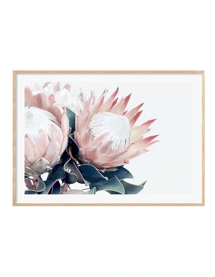 Australian Made Protea Flowers Art Print A0 Frame in Natural Frame image 1