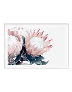 Australian Made Protea Flowers Art Print A0 Frame in White Frame