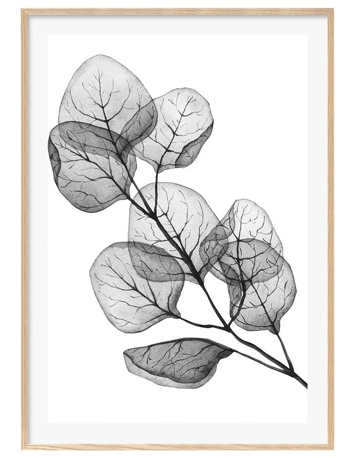 Australian Made Trans Dollar Leaves Art Print A0 White Frame image 1