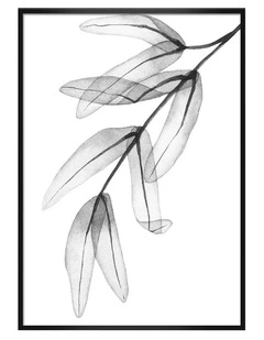 Australian Made Trans Feather Leaves Art Print A0 Black Frame