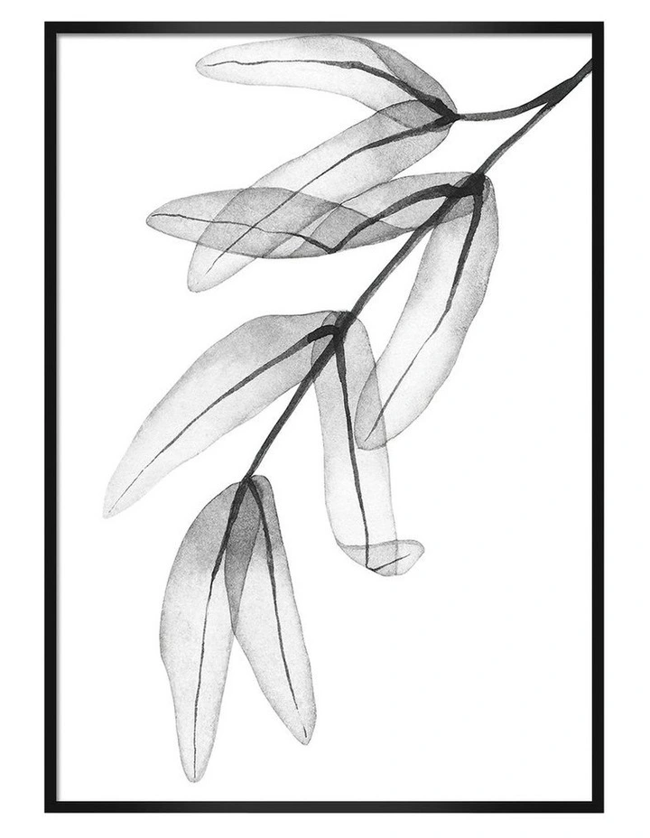 Australian Made Trans Feather Leaves Art Print A0 Black Frame image 1