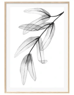 Australian Made Trans Feather Leaves Art Print A0 Natural Frame