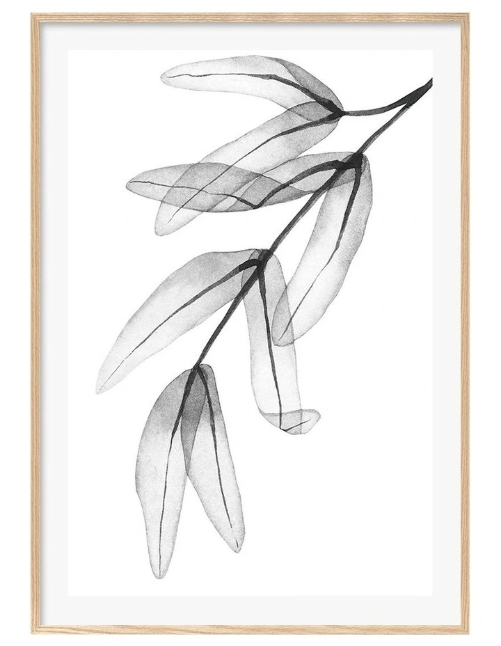 Australian Made Trans Feather Leaves Art Print A0 Natural Frame image 1