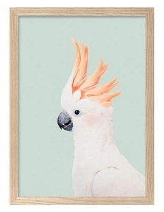Australian Made Cockatoo on Mint Kids Art Print Natural Frame