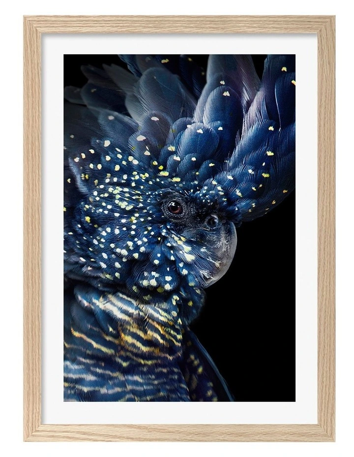 Australian Made Black Cockatoo Print Wall Art Frame in Natural Oak image 1