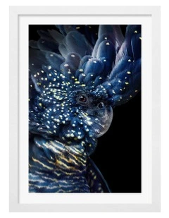 Australian Made Black Cockatoo Print Wall Art Frame in White