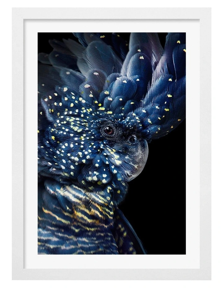 Australian Made Black Cockatoo Print Wall Art Frame in White image 1