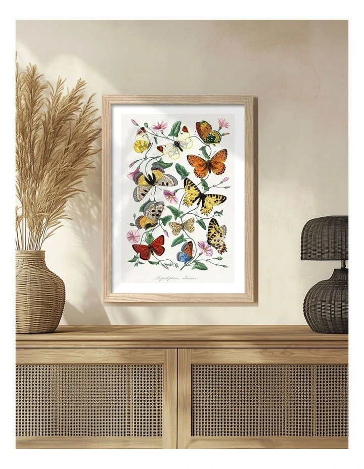 Australian Made Butterfly And Moth Print Wall Art Frame in Natural Oak image 2