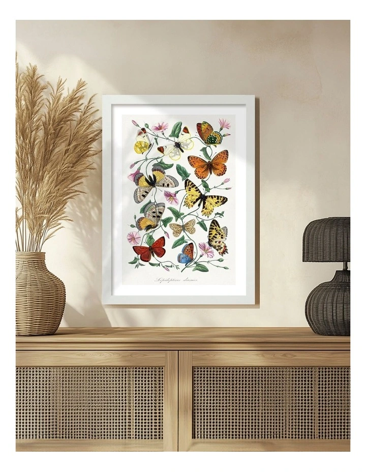 Australian Made Butterfly And Moth Print Wall Art Frame in White image 2
