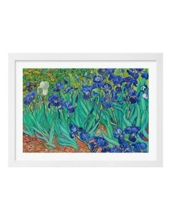 Australian Made Van Gogh Irises Print in White