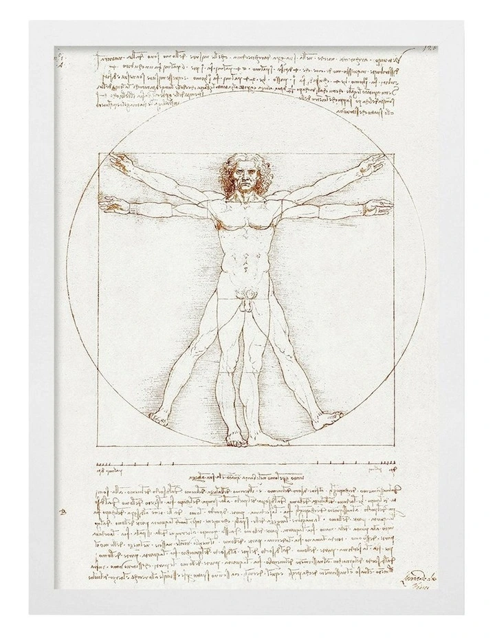 Vitruvian Man Print Frame in White image 1