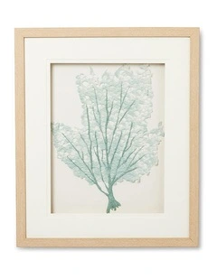 Coral Aqua Artwork 50x60x4cm in Blue