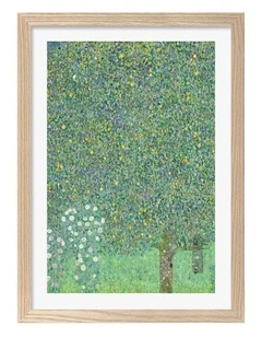 Australian Made Rosebushes Art Print in Natural Frame