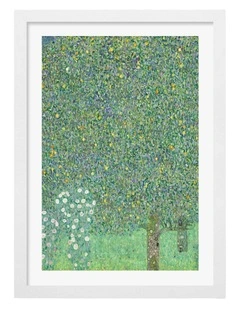 Australian Made Rosebushes Art Print in White Frame