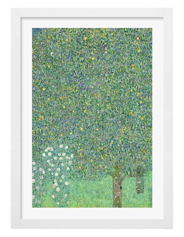 Australian Made Rosebushes Art Print in White Frame image 1