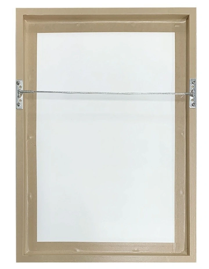 Australian Made Hygieia (Klimt) Art Print White Frame image 4