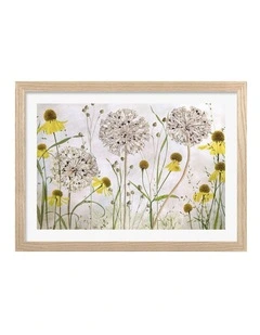 Australian Made Alliums and Heleniums Art Print Natural Frame