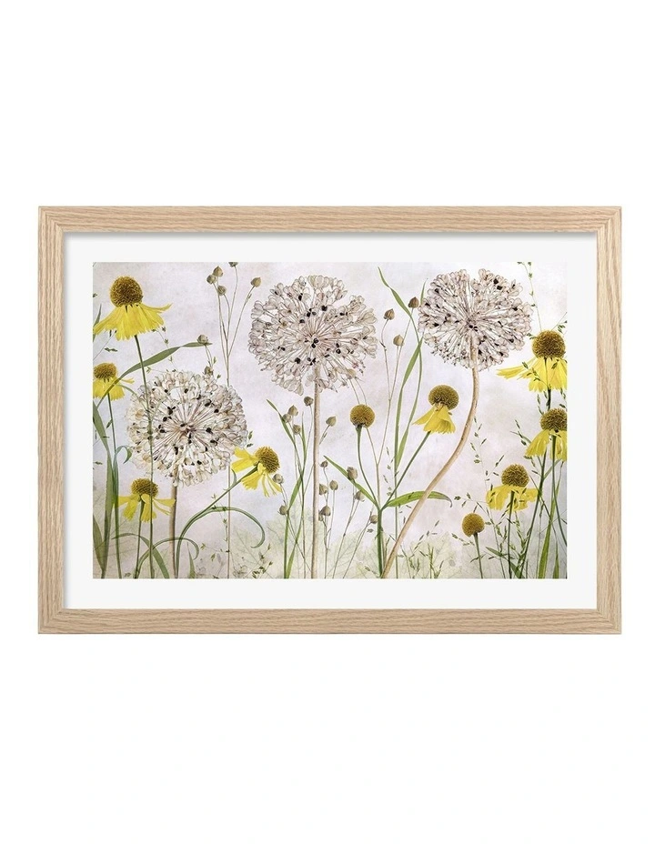Australian Made Alliums and Heleniums Art Print Natural Frame image 1