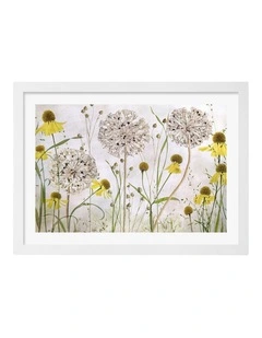 Australian Made Alliums and Heleniums Art Print White Frame