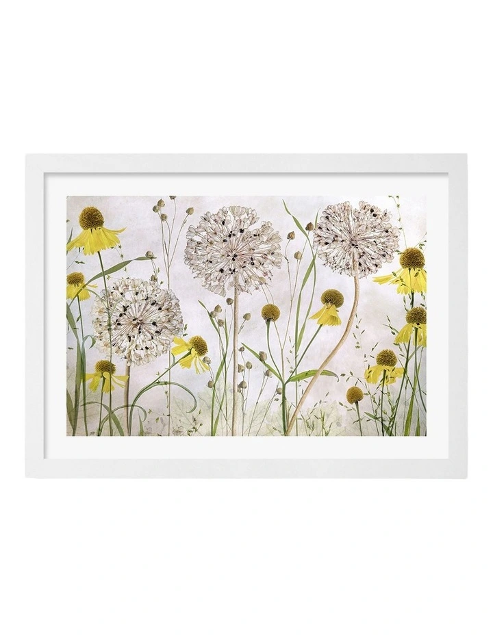 Australian Made Alliums and Heleniums Art Print White Frame image 1