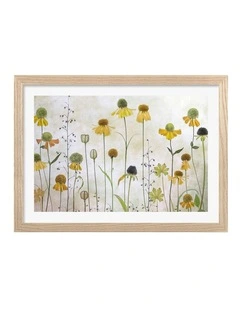 Australian Made Helenium Art Print Natural Frame