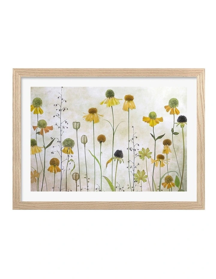 Australian Made Helenium Art Print Natural Frame image 1