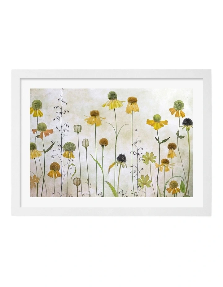 Australian Made Helenium Art Print White Frame image 1