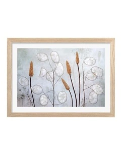 Australian Made Lunaria Art Print Natural Frame