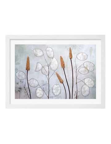 White colour