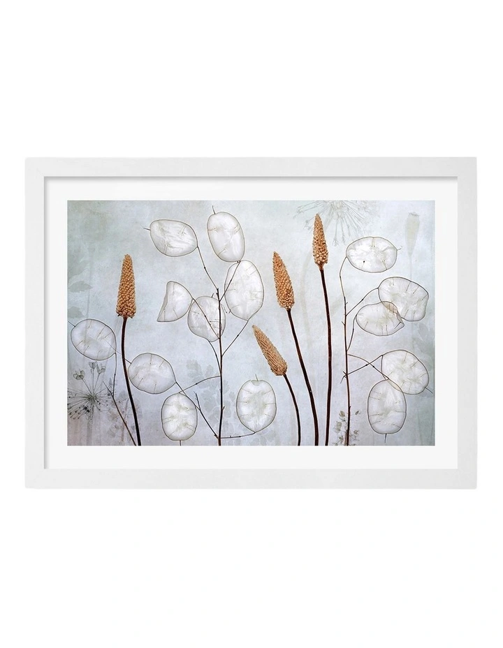 Australian Made Lunaria Art Print White Frame image 1