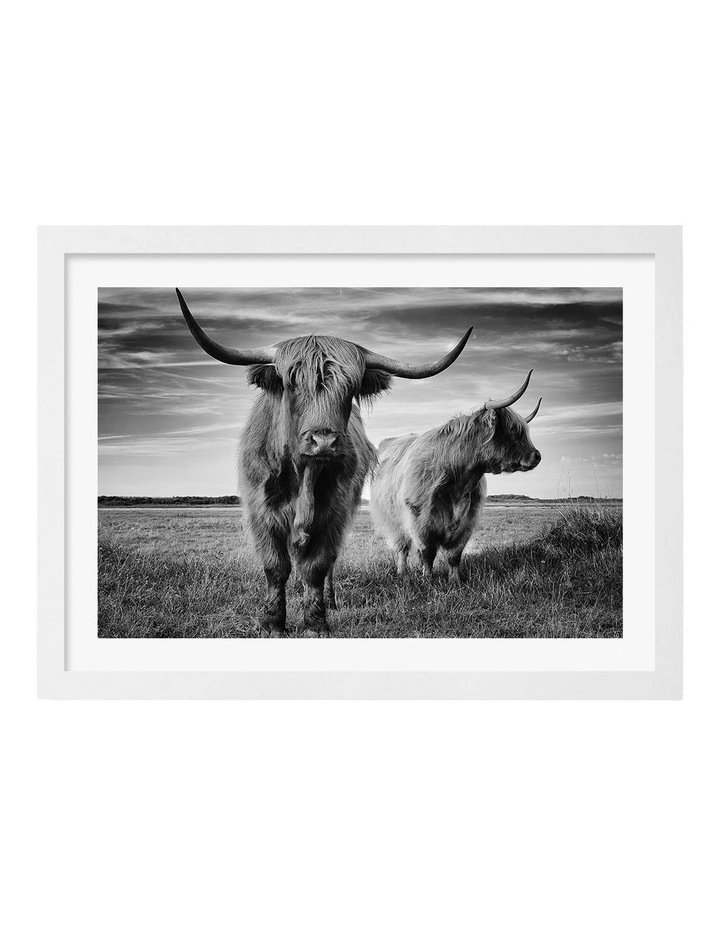 Australian Made Majestic Highlanders Art Print White Frame image 1