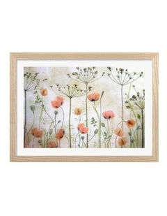 Australian Made Poppy Meadow Art Print Natural Frame