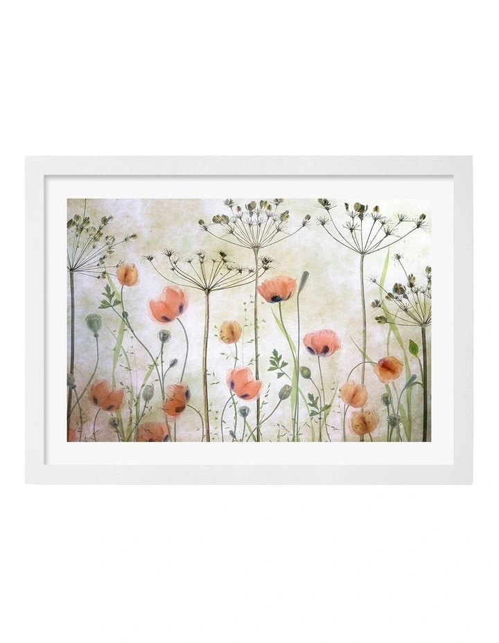 Australian Made Poppy Meadow Art Print White Frame image 1