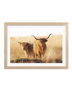 Australian Made Young And Old Highlander Art Print Natural Frame