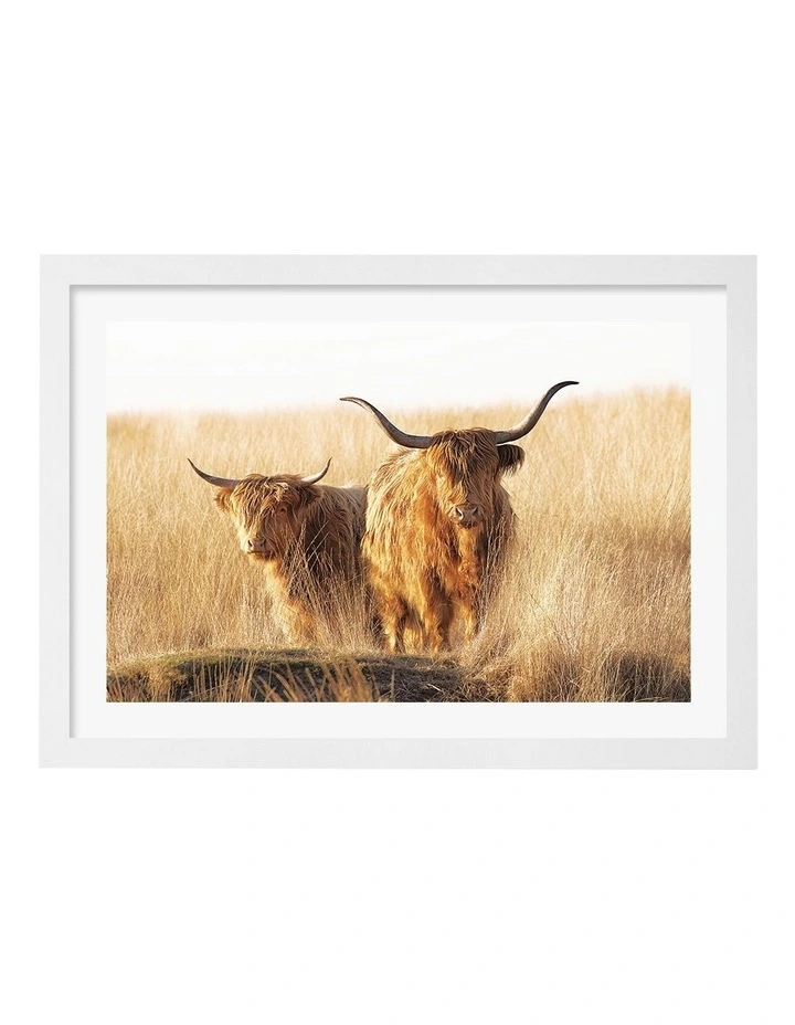 Australian Made Young And Old Highlander Art Print White Frame image 1