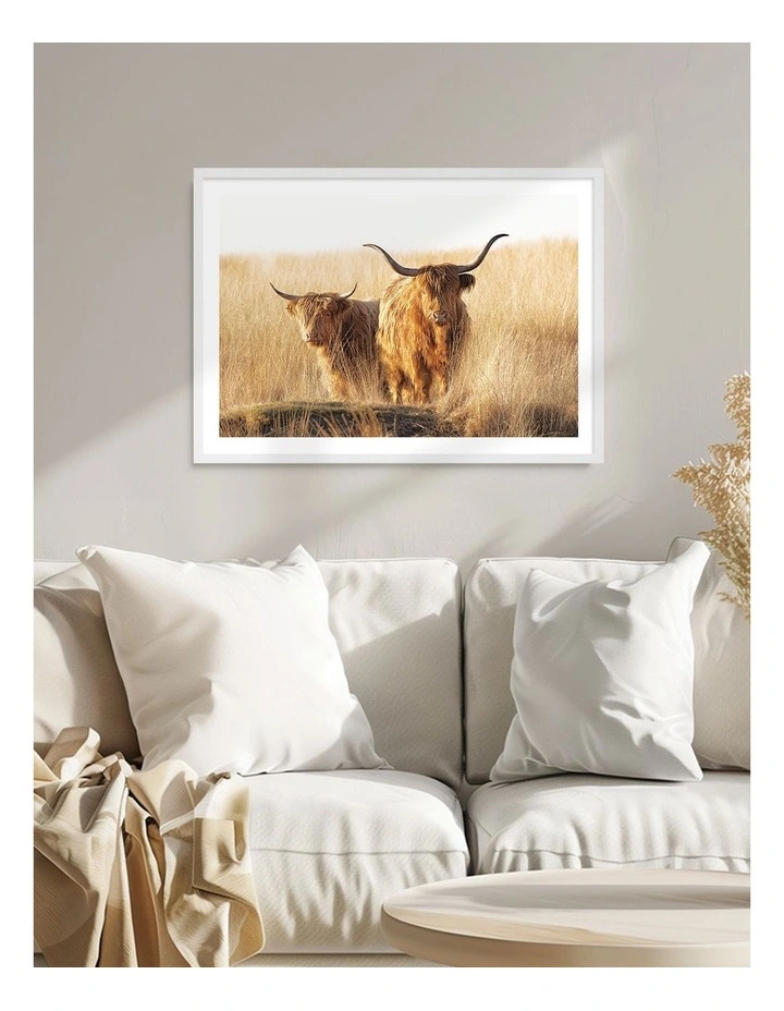 Australian Made Young And Old Highlander Art Print White Frame image 2