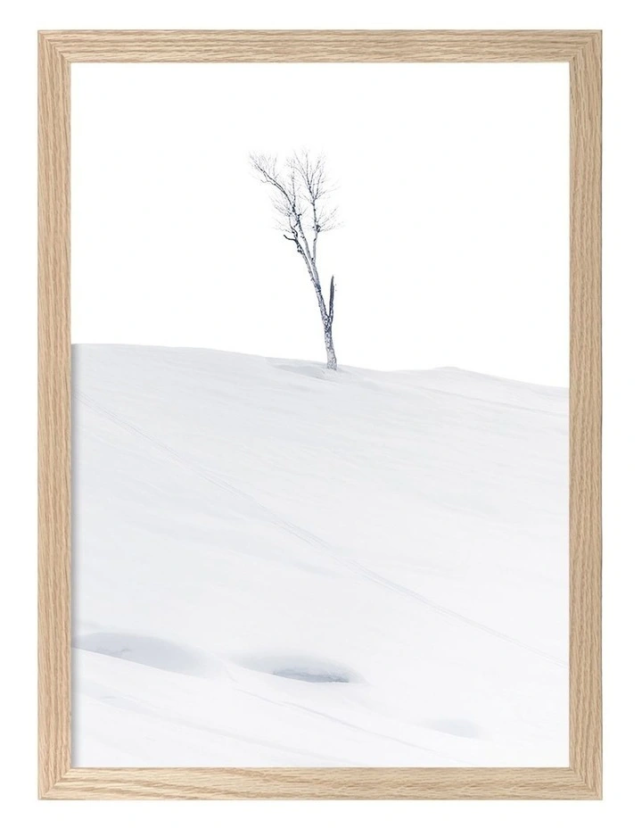 Australian Made Lonely At Top Art Print Natural Frame image 1