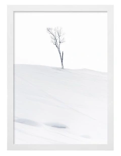 Australian Made Lonely At Top Art Print White Frame