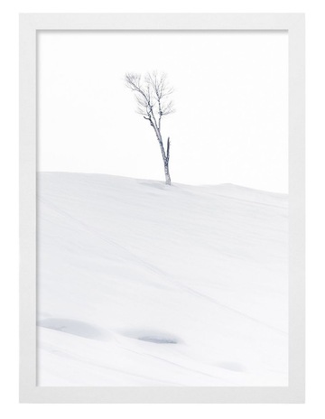 White colour