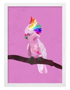 Australian Made Rainbow Cockatoo Art Print White Frame